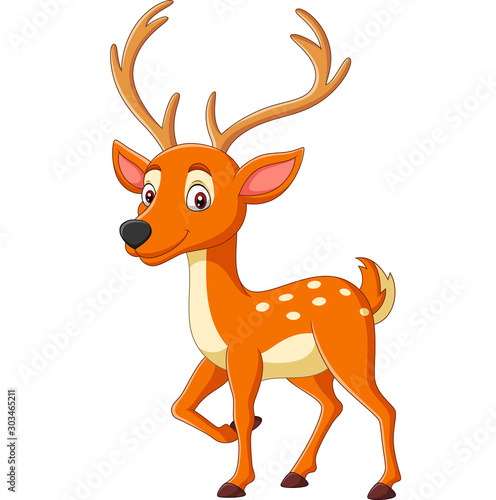 Cartoon cute deer on white background