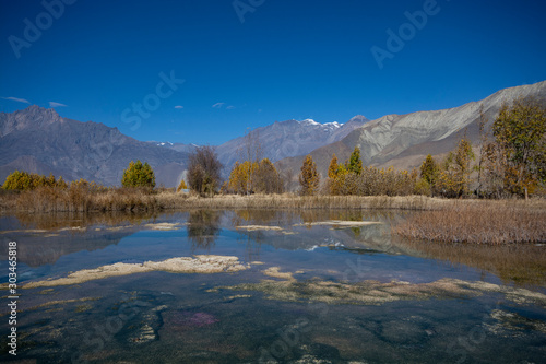 Autumn trees near lake with mountains and blue sky background