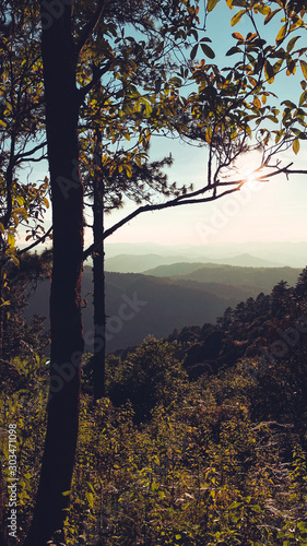 sunset and twilight light in the forest on the mountain