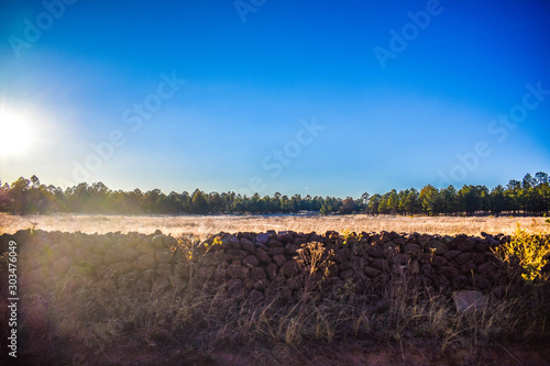 The countryside