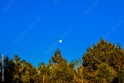The moon