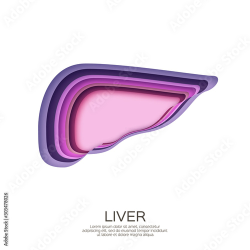 Human liver in paper cut style. Purple origami layered organ on white background.