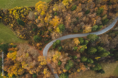 Shot of a road in autumn from drone. © Anze