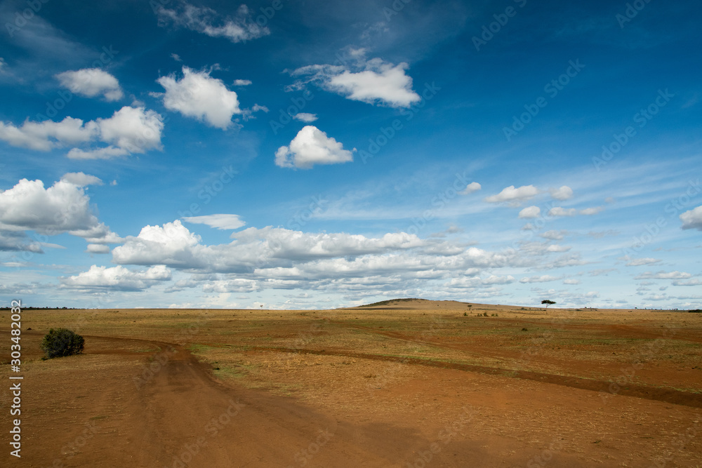 Dry savanna landscape