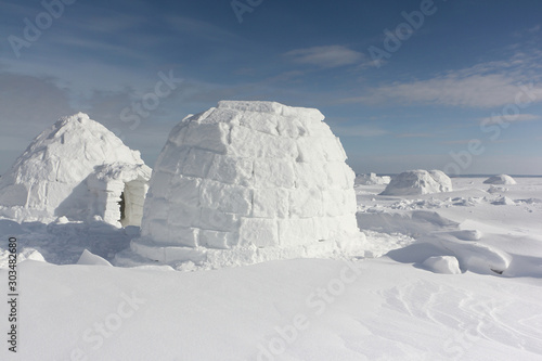 Igloo  standing on a snowy glade  in the winter, Novosibirsk, Russia © Nataliia Makarova