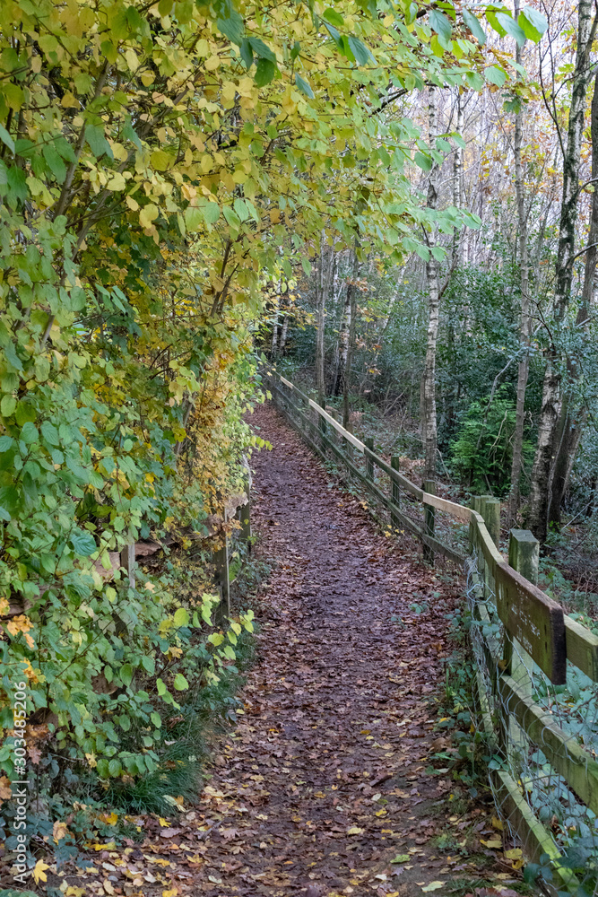 A late autumn day in Buchan Park Crawley United Kingdom