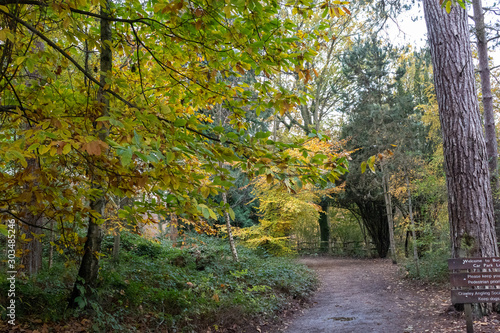 A late autumn day in Buchan Park Crawley United Kingdom