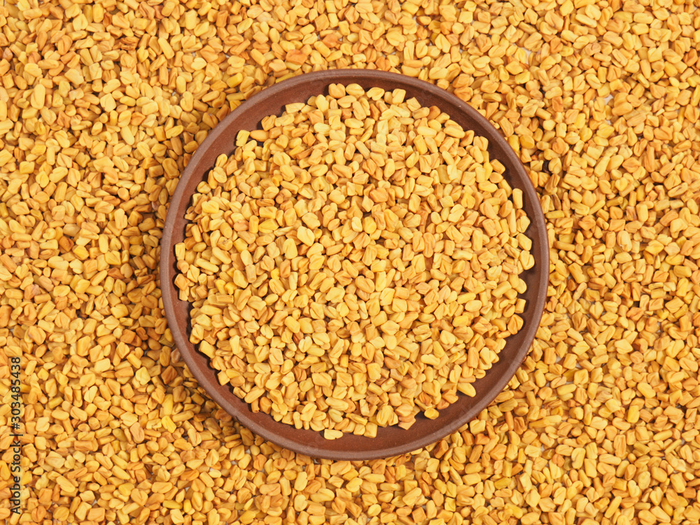 Fenugreek in clay plate. Background from Fenugreek. Indian cuisine ingredient Fenugreek in clay plate. Background from Fenugreek. Indian cuisine ingredient