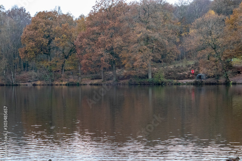 A late autumn day in Buchan Park Crawley United Kingdom