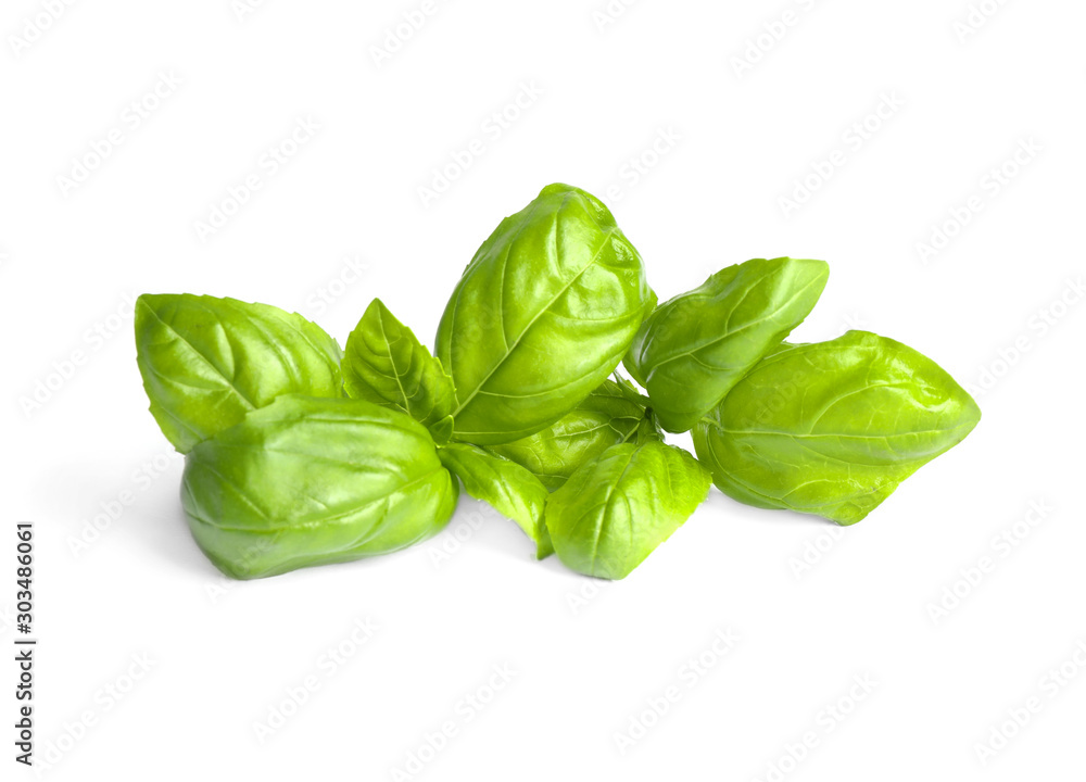 Fototapeta premium Fresh green basil leaves isolated on white