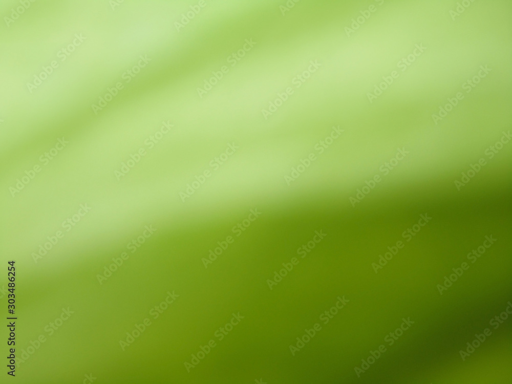 Abstract green background. Blurred greenery background. Abstract green background. Blurred greenery background.