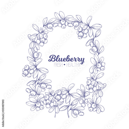 Blueberry. Element for design. Good for product label. Graphic drawing  engraving style. Colored vector illustration