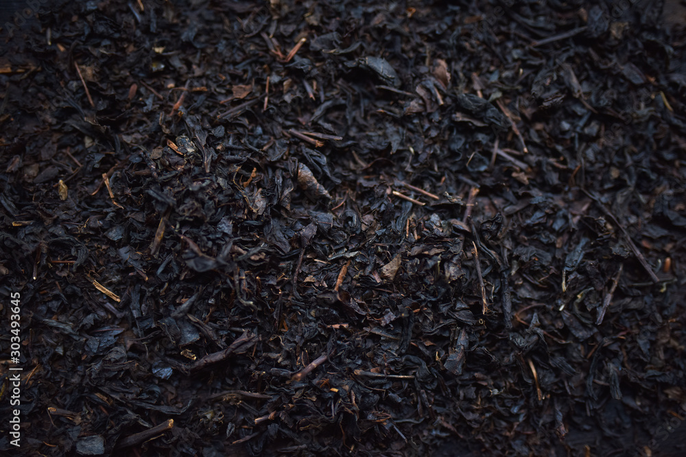 black tea in dark background black tea in dark background