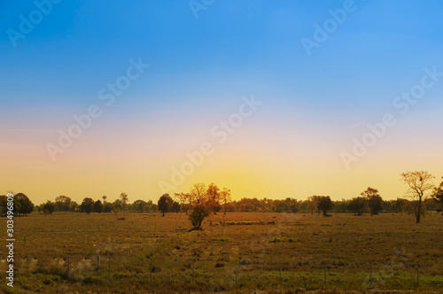 sunset in the serengeti