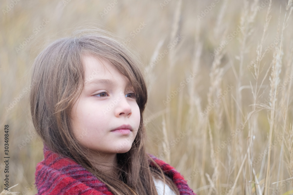 beautiful girl with warm shawl in autumn field beautiful girl with warm shawl in autumn field