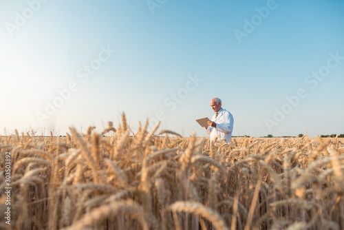 Принти на полотні Agriculture scientist doing research in grain test field tracking data