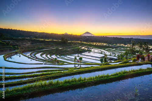 Jatiluwih Rice Terrace photo