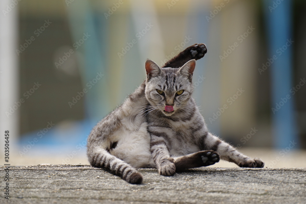 Naklejka premium セクシーポーズ