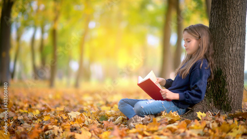 Obraz na płótnie cute girl sitting under a tree in the autumn park park and reading a book. Childhood. Education. w salonie