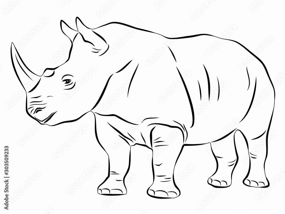isolated illustration of rhino , vector drawing Stock Vector | Adobe Stock