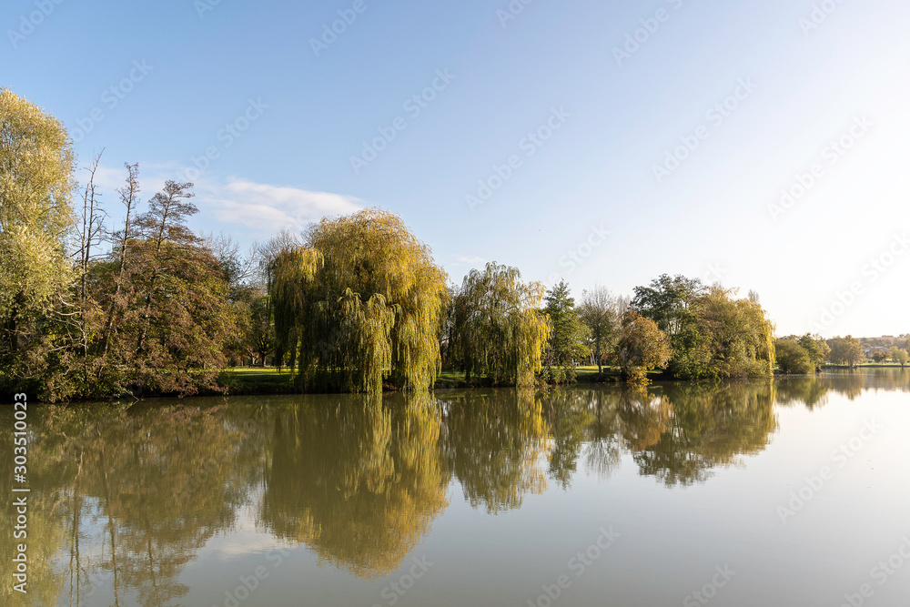 Automn tree reflection on calm water Automn tree reflection on calm water