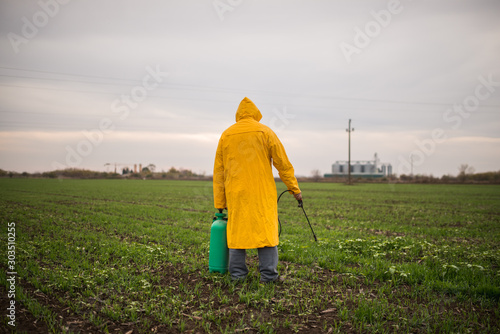Farmer in his field, spraying wheat against pests