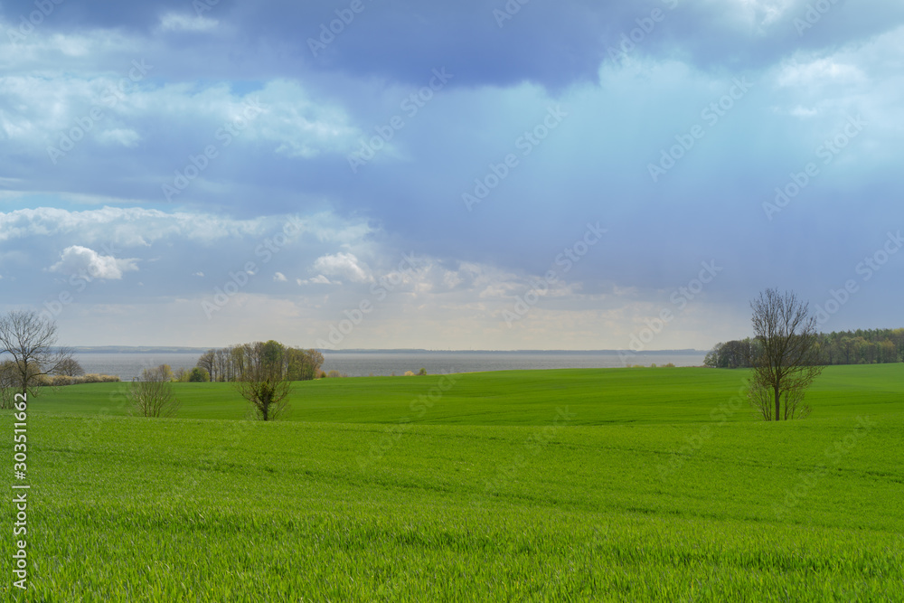 Beautiful view over green fields on the German Baltic coast near Groemitz