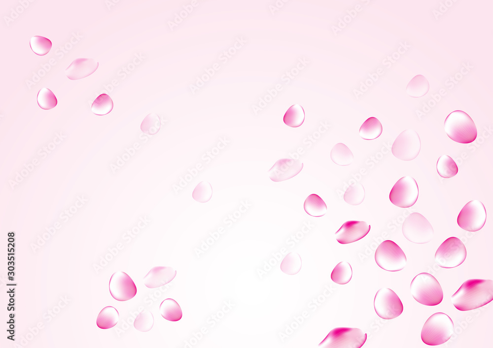 pink white background rose petals are falling in the air for theme beuaty and cosmetics or love romantic vector design