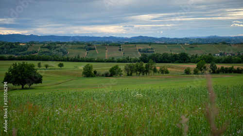 Obraz na płótnie Foto scattata a Tassarolo (AL) lungo la strada che porta a Rovereto. w salonie