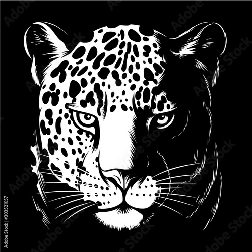Jaguar in darkness