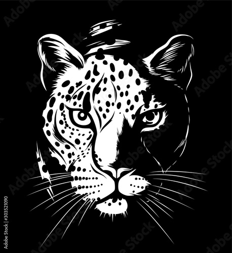 Leopard in darkness