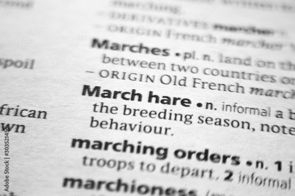 Word or phrase March hare in a dictionary. Word or phrase March hare in a dictionary.