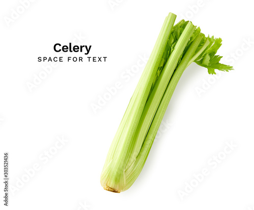 Top view layout with fresh celery stalks. Isolated on white background with copy space