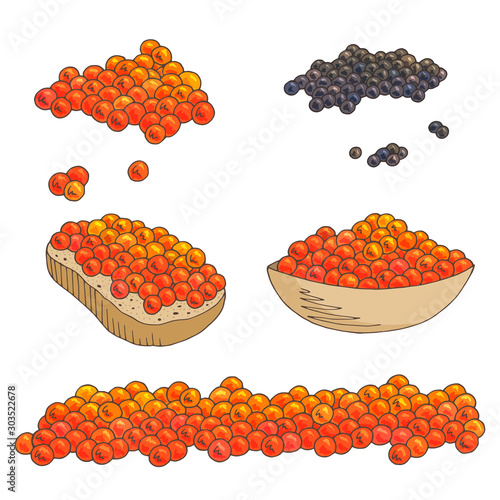 Caviar food set graphic color isolated sketch illustration vector