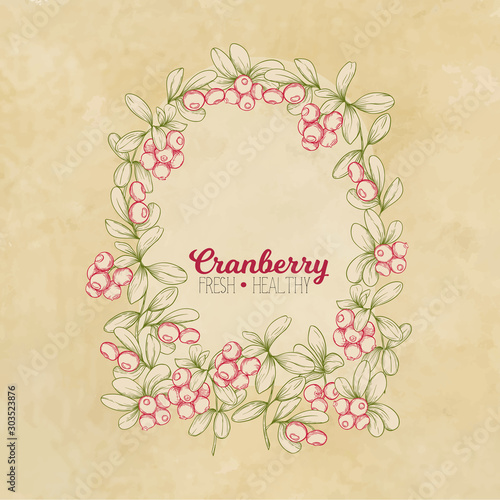 Cranberry. Element for design. Good for product label. Colored vector illustration. On kraft paper background.