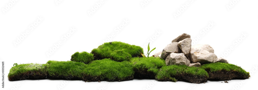 Fotografie Green moss with decorative rocks isolated on white background