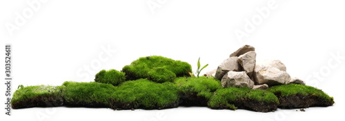 Green moss with decorative rocks isolated on white background photo