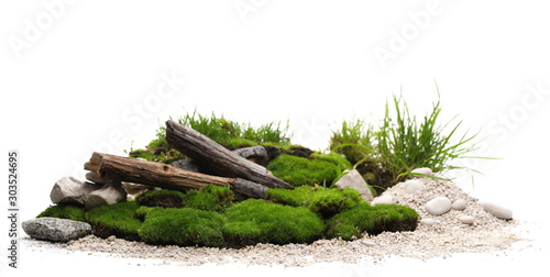 Green moss with decorative rocks, branches and grass isolated on white background