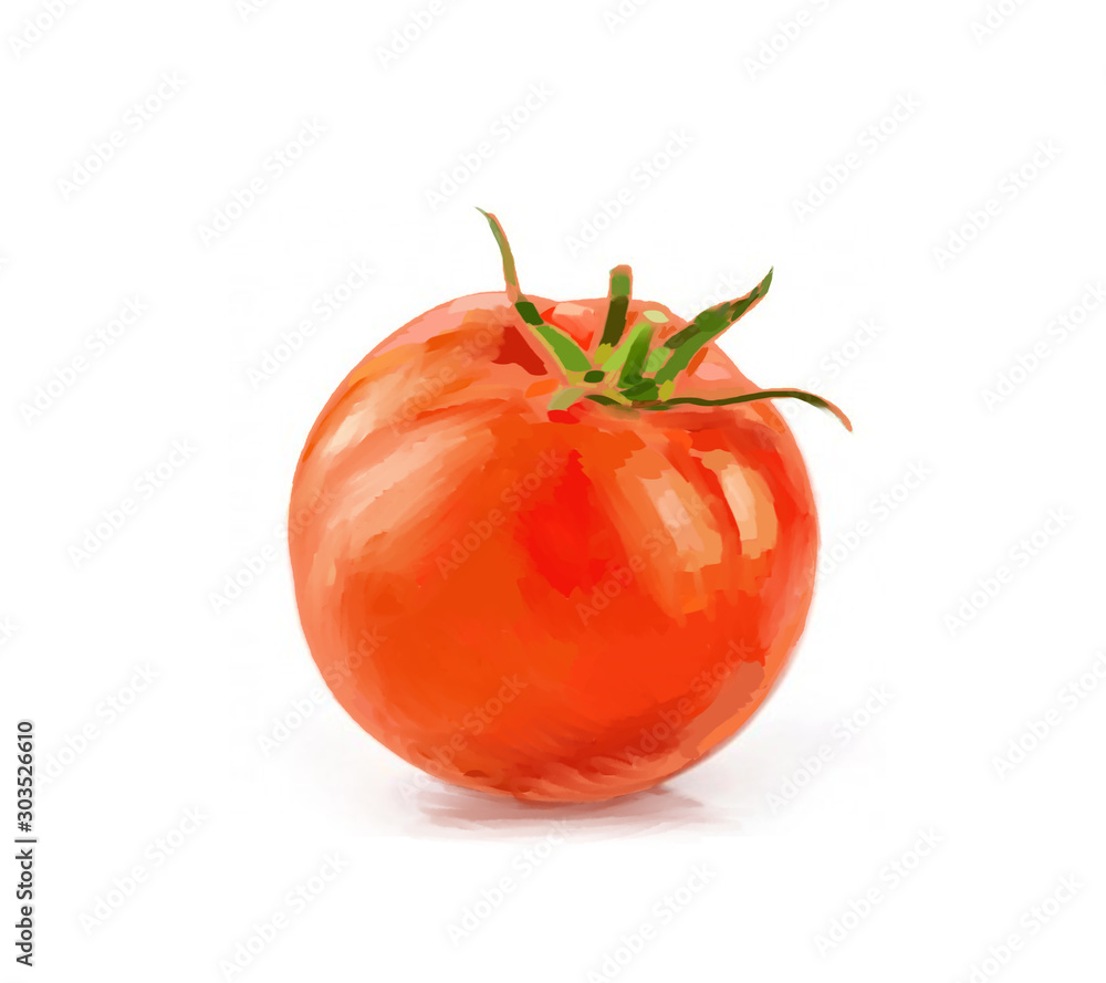 Red ripe realistic tomato illustration Red ripe realistic tomato illustration