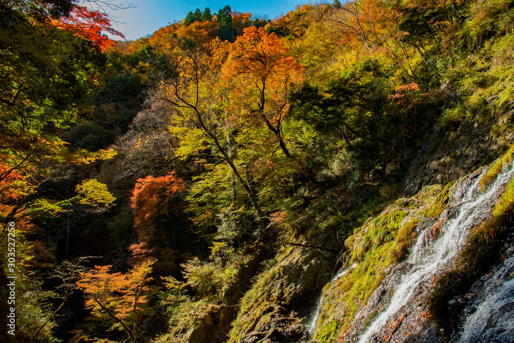 兵庫県・秋水に光射す足尾の滝	