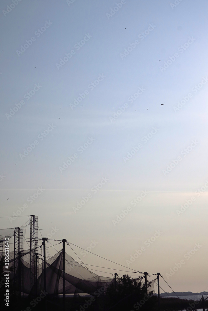 Fototapeta premium Birds migration in Vente