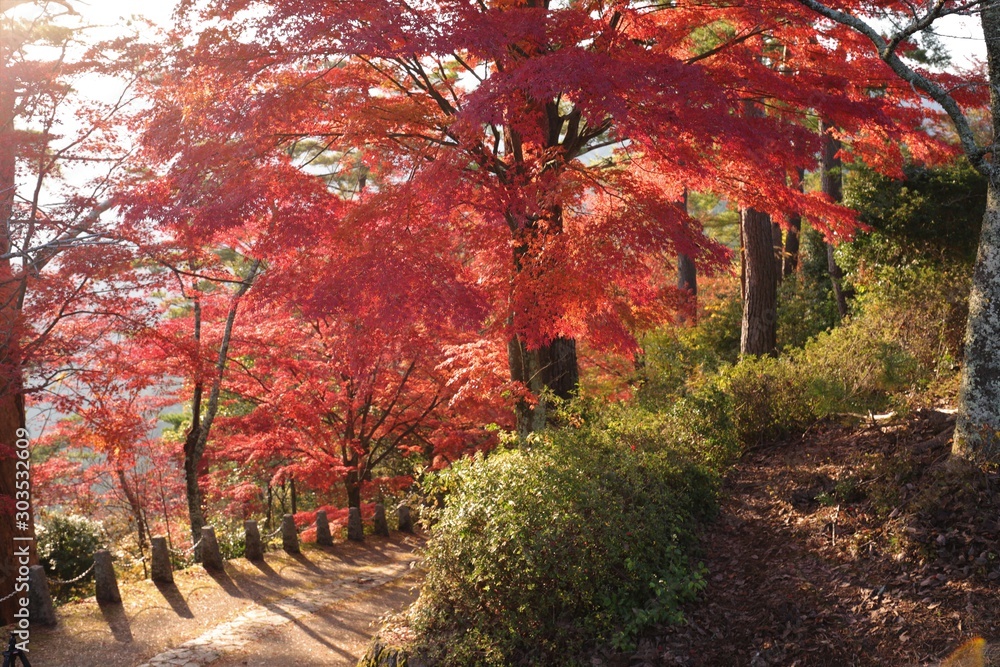 Naklejka premium 吉野山の紅葉