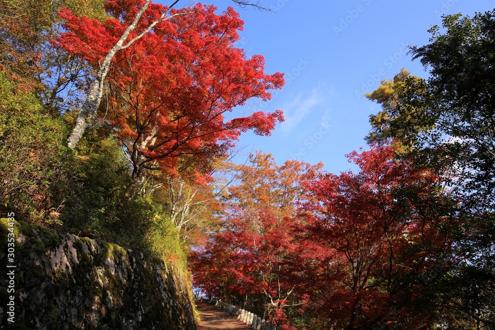吉野山の紅葉