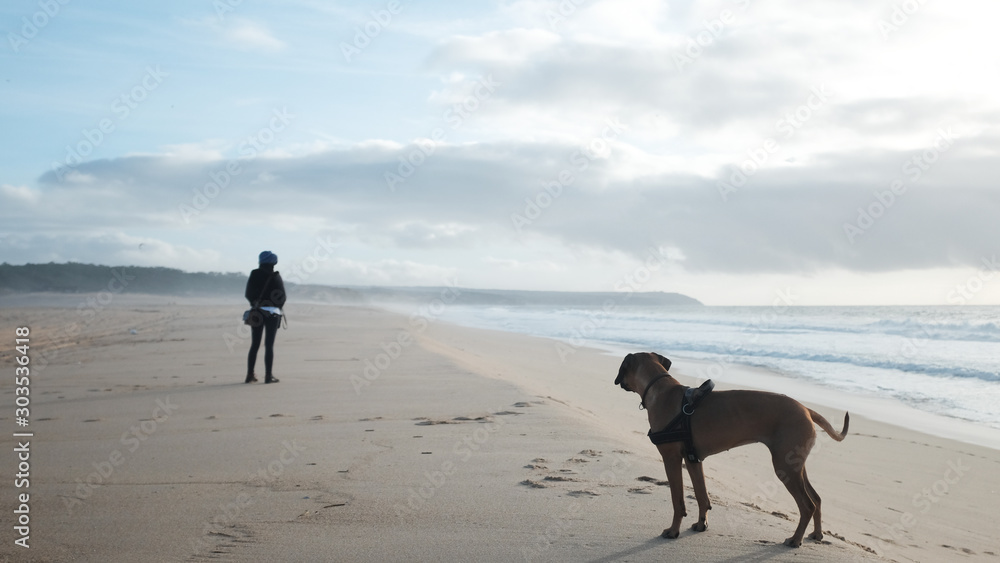 Woman and dog walking on the beach at sunset Woman and dog walking on the beach at sunset