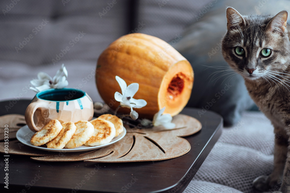A gray tabby cat sits next to a table on which there is breakfast with hot tea and fragrant cheesecakes on a plate against a background of orange pumpkin