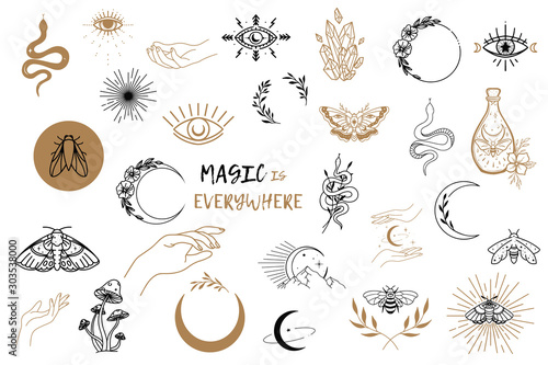 Vector witch magic design elements set. Hand drawn, doodle, sketch magician collection. Witchcraft symbols. Perfect for tattoo, textile, cards, mystery