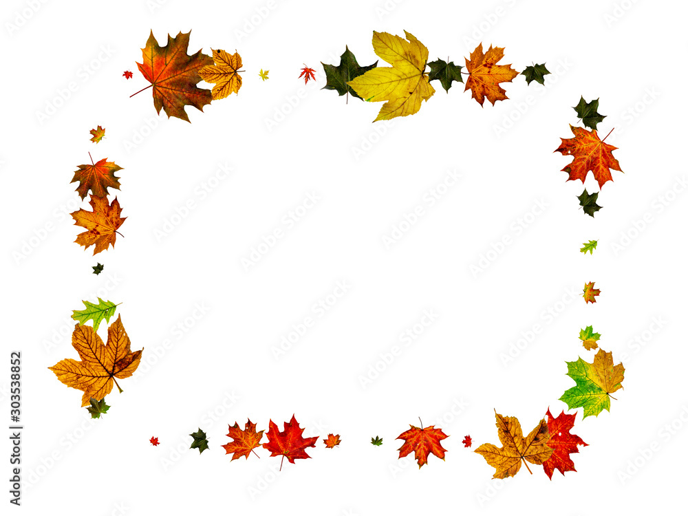 Autumn background. Falling October leaves isolated on white. Season concept Autumn background. Falling October leaves isolated on white. Season concept