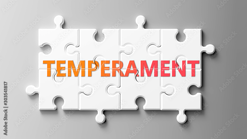Φωτογραφία Temperament complex like a puzzle - pictured as word Temperament on a puzzle pie