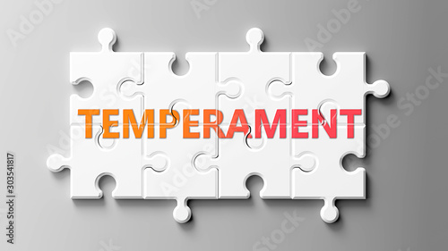 Temperament complex like a puzzle - pictured as word Temperament on a puzzle pieces to show that Temperament can be difficult and needs cooperating pieces that fit together, 3d illustration photo