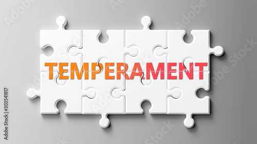 Temperament complex like a puzzle - pictured as word Temperament on a puzzle pieces to show that Temperament can be difficult and needs cooperating pieces that fit together, 3d illustration